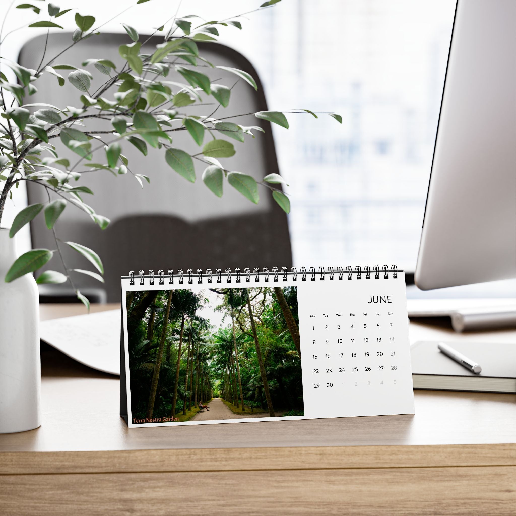 Travel Inspiration Desk Calendar  (2026 grid)