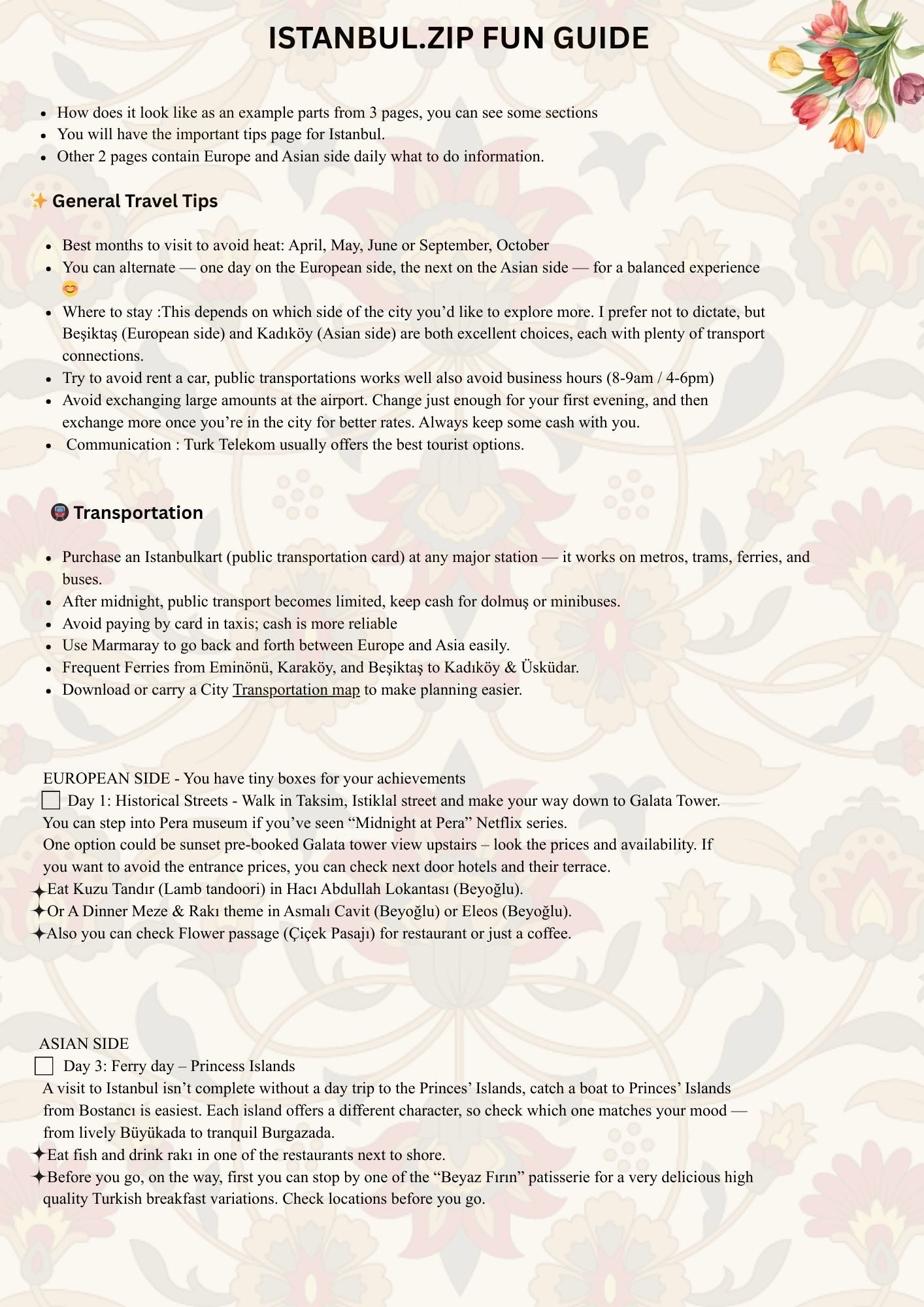 Istanbul Fun Guide | Compact Digital Travel Guide  🌉