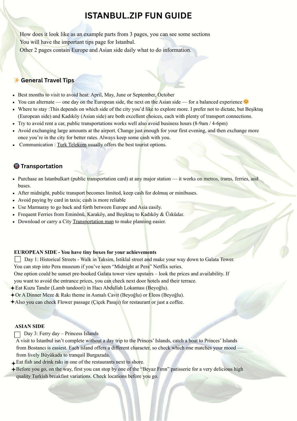 Istanbul Fun Guide | Compact Digital Travel Guide  🌉