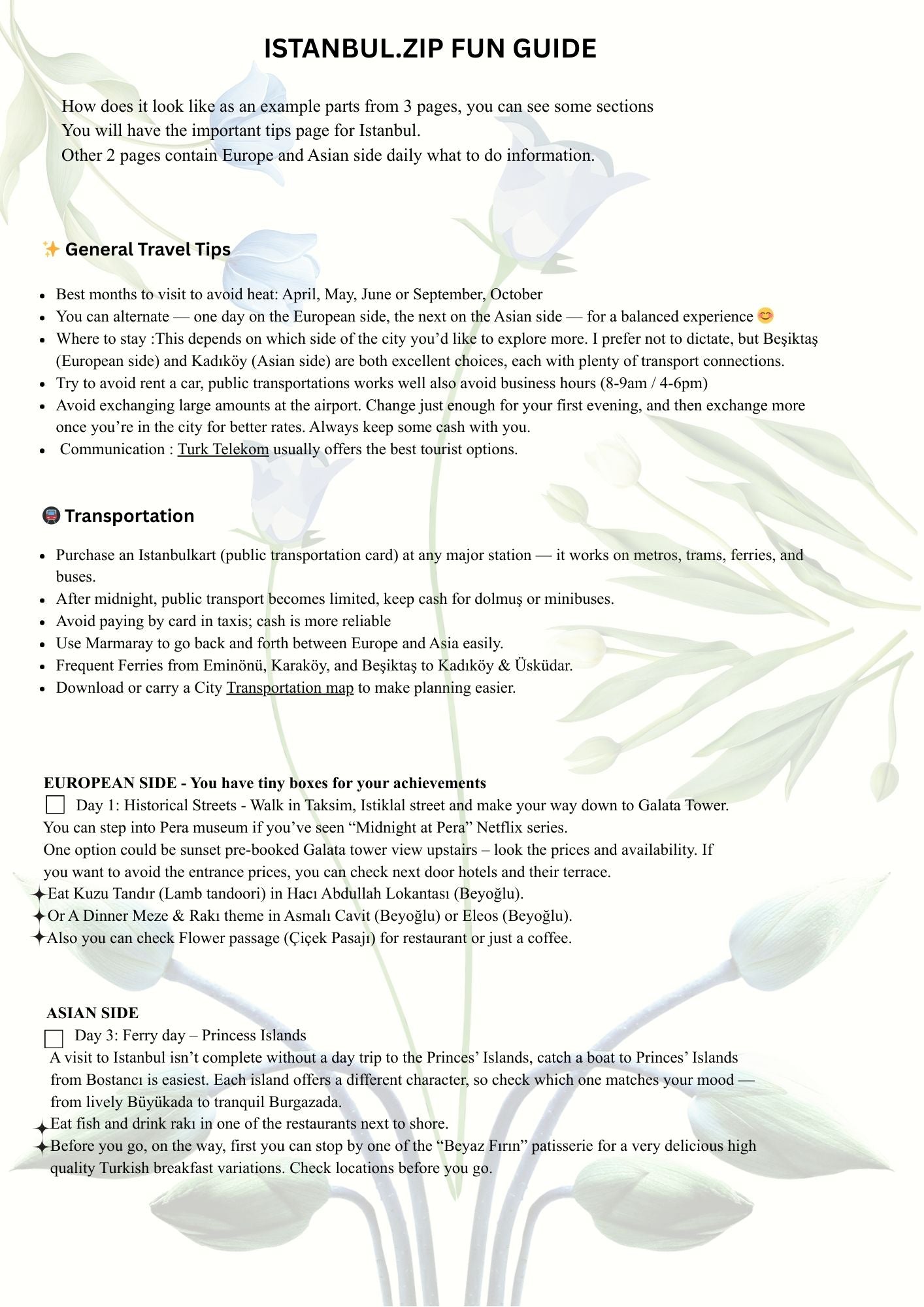 Istanbul Fun Guide | Compact Digital Travel Guide  🌉